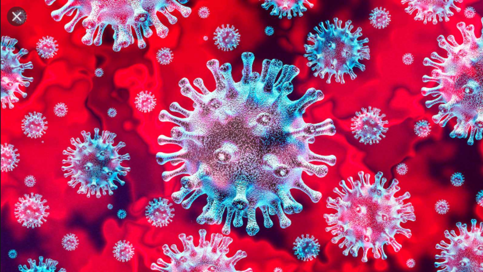 Screenshot_2020-04-14 CORONAVIRUS - B&uacute;squeda de Google
